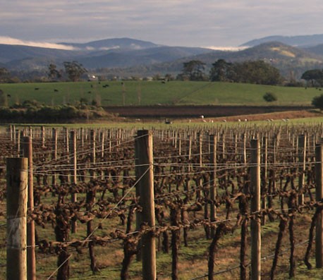 免费ddos在线攻击